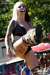 hollywood knockouts 14.jpg